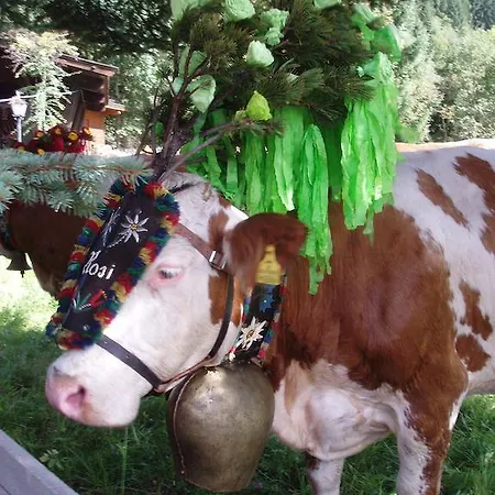 דירה Wohlfartstaetter אאופאך