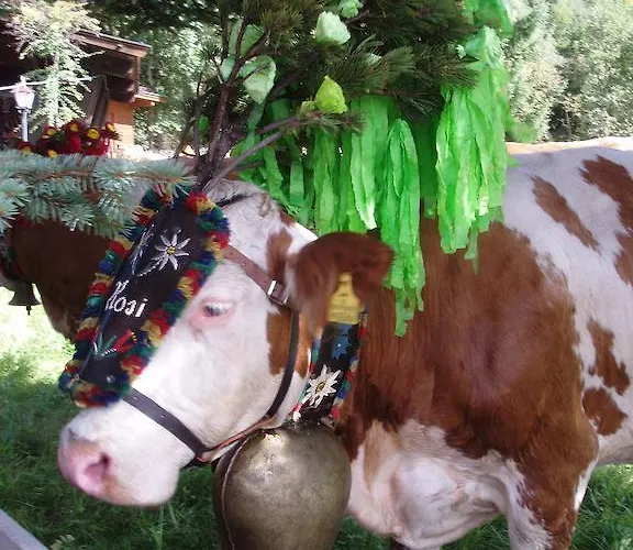 Lejlighed Wohlfartstaetter Auffach